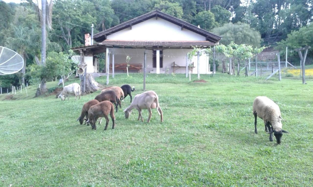 Sitio Kanisfluh Treze Tílias Extérieur photo